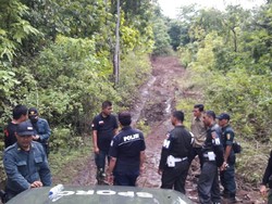 Illegal Logging, Pelaku Bikin Jalan 4 Km di Pedalaman Hutan Sulsel