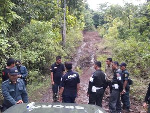 Illegal Logging, Pelaku Bikin Jalan 4 Km di Pedalaman Hutan Sulsel Illegal Logging, Pelaku Bikin Jalan 4 Km di Pedalaman Hutan Sulsel