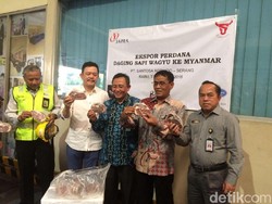 Perdana, RI Ekspor Daging Wagyu ke Myanmar