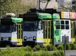 WNI di Luar Dirayu Pulang, Begini Tanggapan Diaspora RI di Australia