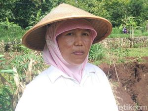 Warga Menduga Lubang Misterius Muncul Karena Ada Luweng di Dalamnya Warga Menduga Lubang Misterius Muncul Karena Ada Luweng di Dalamnya