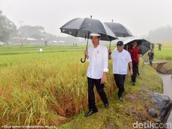 Jokowi Tak Mau Anak Indonesia Terkontaminasi Smartphone