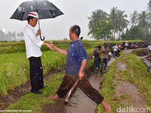 Pengamat: Jokowi Agresif Kunjungi Basis Lawan