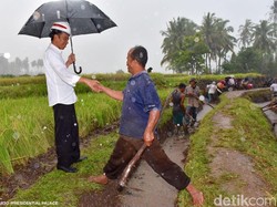 Melihat Cara Jokowi Berbahasa Daerah Menyapa Warga