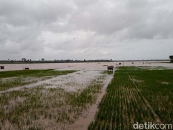 Lahan Pertanian dan Fasilitas Umum di Dukuhseti Pati Teredam Banjir