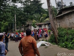 Tewas Tersengat Listrik, Pria Ini Jatuh dari Pohon Setinggi 5 Meter