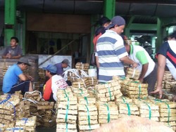 Tak Punya Laut, Bondowoso Jadi Pasar Ikan Pindang Terbesar di Jatim