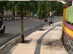 Masih Ingat Guiding Block Tabrak Pohon di Trenggalek, Ini Kondisinya