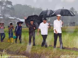 Jokowi Akan Hadiri Peringatan Hari Pers Nasional di Padang