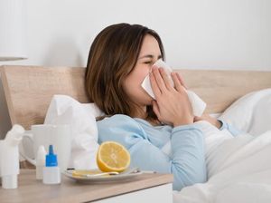 Sedang Terserang Flu? Redakan dengan Konsumsi 9 Makanan Enak Ini Sedang Terserang Flu? Redakan dengan Konsumsi 9 Makanan Enak Ini