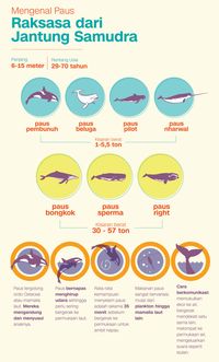 Infografis Fajrian Naskah Vetricia Wizach Simbolon