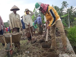 Pekerja Padat Karya Cash Jokowi di Sumbar Dapat Rp 130.000/Hari