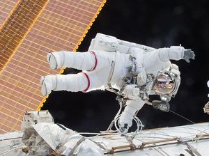 Wanita Jepang Kehilangan Rp 463 Juta Gegara Ditipu Astronaut Palsu