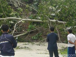 Akibat Tanah Gerak, Jalan Banjarnegara-Pekalongan Terputus