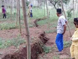 Tanah Retak dan Ambles Bahayakan 33 Rumah Warga di Jember