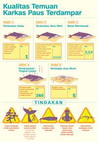 Infografis Fajrian Naskah Vetricia Wizach Simbolon