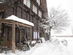 Liburan Akhir Tahun di Jepang, Main Salju di Shirakawa!