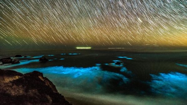 Menakjubkan! Saat Pesisir California Bercahaya karena Fitoplankton