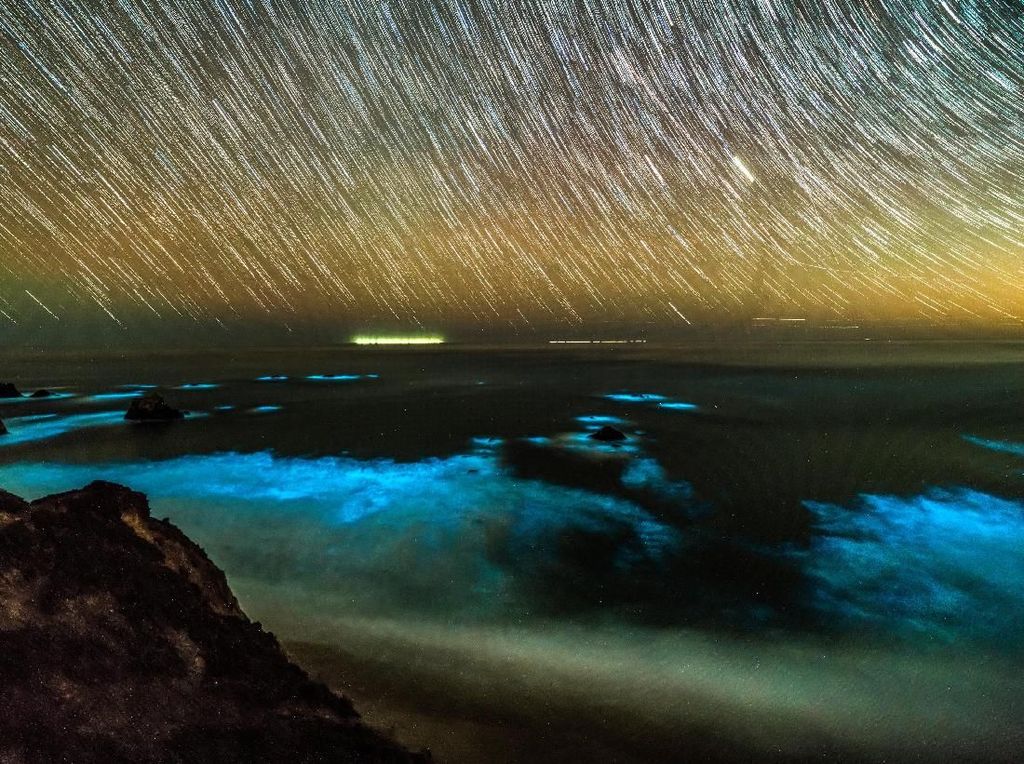 Menakjubkan! Saat Pesisir California Bercahaya karena Fitoplankton