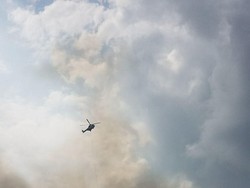 Penampakan Kebakaran Hutan di Riau, Tim Berjibaku Padamkan Api