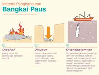 Infografis Fajrian Naskah Vetricia Wizach Simbolon