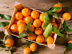 Sejak Kapan Jeruk Mandarin Menghilang di Pasaran? Sejak Kapan Jeruk Mandarin Menghilang di Pasaran?