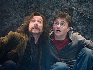 Soal Remake Harry Potter, Sutradara: Buat Apa Sih?