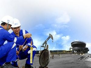 BUMN Sucofindo Buka Lowongan Kerja, Ini Syarat dan Cara Daftarnya BUMN Sucofindo Buka Lowongan Kerja, Ini Syarat dan Cara Daftarnya