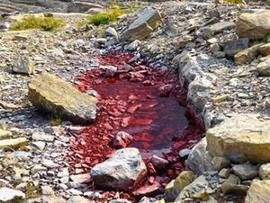 Misteri Es yang Mencair Jadi Warna Merah Darah di Amerika