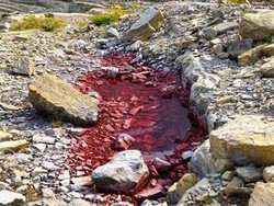 Misteri Es yang Mencair Jadi Warna Merah Darah di Amerika