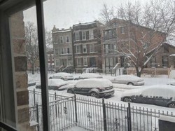 Salju Tebal Selimuti Chicago, 2 Orang Tewas