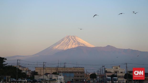 Menikmati Estetika Pasar Ikan Numazu