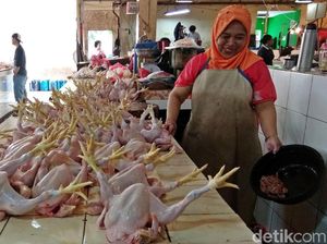 Jelang Lebaran, Harga Daging Ayam Tembus Rp 43.000/Kg