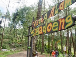 Dampak Tanah Gerak, Wisata Sigadung di Banjarnegara Tutup