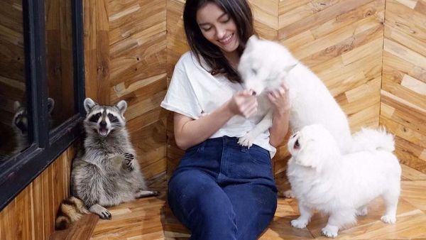 Ini Keseruan Ngopi Sambil Bermain Bersama Hewan-hewan Lucu