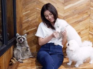 Ini Keseruan Ngopi Sambil Bermain Bersama Hewan-hewan Lucu