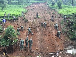 Ribuan Pohon Vetiver dan Maniih Ditanam di Lokasi Longsor Puncak