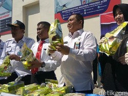 Tangkap DPO Sindikat Internasional, BNN Aceh Sita 20 Kg Sabu