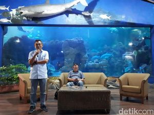 Ancol Bidik 160 Ribu Wisatawan Saat Libur Imlek Ancol Bidik 160 Ribu Wisatawan Saat Libur Imlek