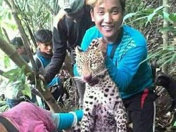 BBKSDA Jabar Selidik Foto Pemuda Pamerkan Bangkai Macan Tutul