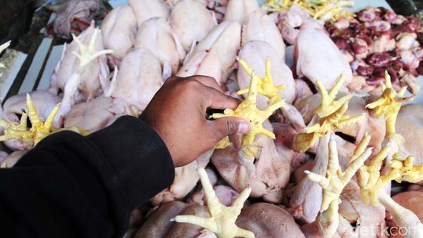 Harga Ayam di Bandung Sudah Normal
