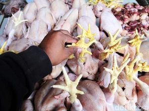 Harga Ayam di Bandung Sudah Normal