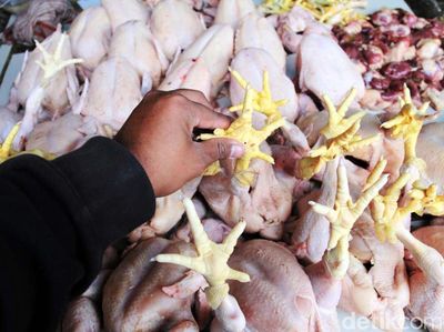 Harga Ayam di Bandung Sudah Normal