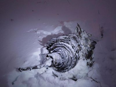 Foto: Puing AN-148 yang Jatuh Dekat Moskow dan Tewaskan 71 Orang