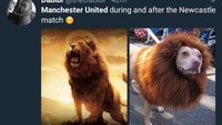 Sebelum laga berlagak galak layaknya singa, usai ditekuk Newcastle malah seperti.. kalian lihat sendiri saja lah. (Foto: Twitter @theDabibi)
