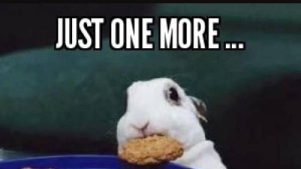 10 Meme Kocak Cobaan Diet yang Bikin Gagal Kurus