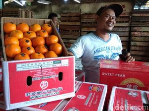 Tak Cuma Pasar Induk, Jeruk Mandarin Juga Hilang di Supermarket