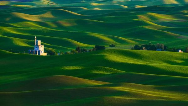 Foto: Setuju Ini Padang Rumput Tercantik di Dunia?