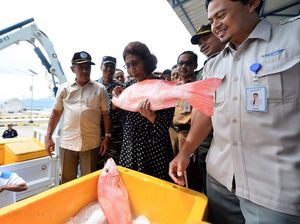 Momen Menteri Susi Saat Sarapan Ikan hingga Tenggelamkan Kapal Momen Menteri Susi Saat Sarapan Ikan hingga Tenggelamkan Kapal