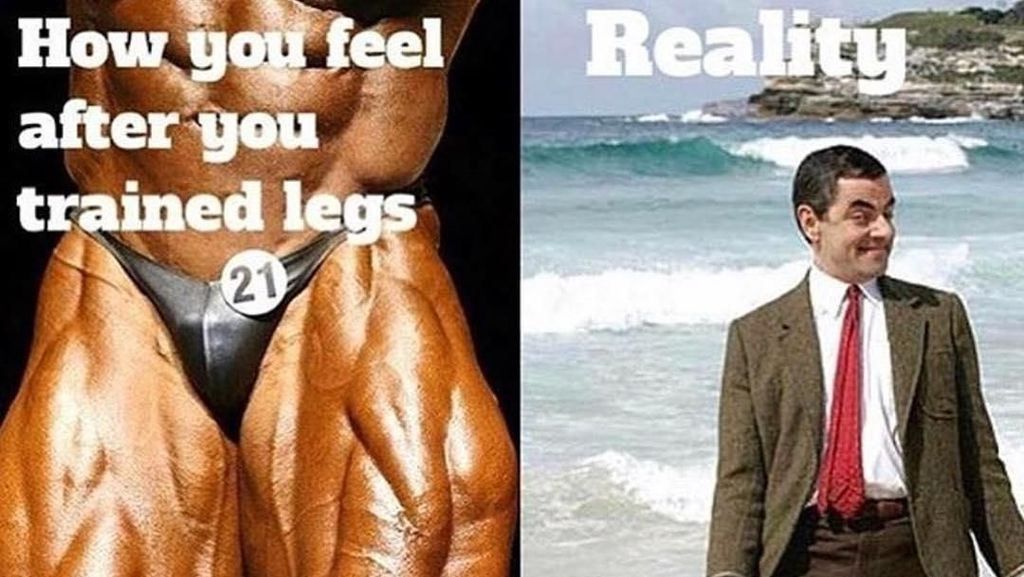 Kumpulan Meme Kocak, Buktikan Leg Day Tak Semudah yang Dibayangkan Kumpulan Meme Kocak, Buktikan Leg Day Tak Semudah yang Dibayangkan